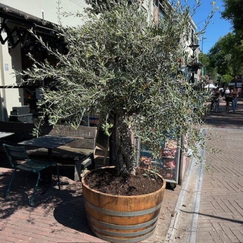 Half eikenhouten wijnvat 250 liter