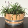 Kwart portvat 28 liter met Liriope muscari 'Money maker' (leliegras)