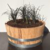 Kwart portvat 28 liter met Ophiopogon pl. Niger, (Slangenbaard)
