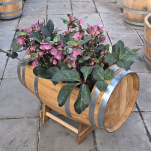 Liggend kastanje portvat 110 liter met onderstel, geolied met lijnolie