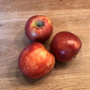 Appelbomen (Malus)