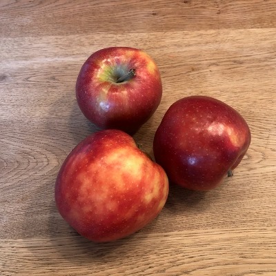 Appelbomen (Malus)