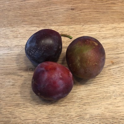 Pruimenboom, perzik, Nectarine, Abrikoos