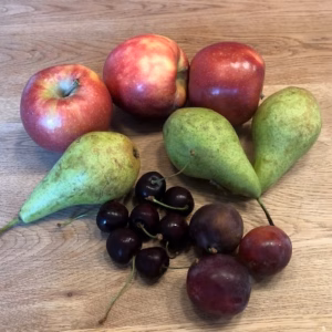 Fruitbomen