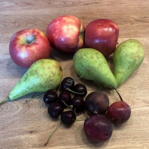 Fruitbomen