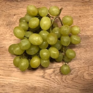Druivenbomen (Vitis)
