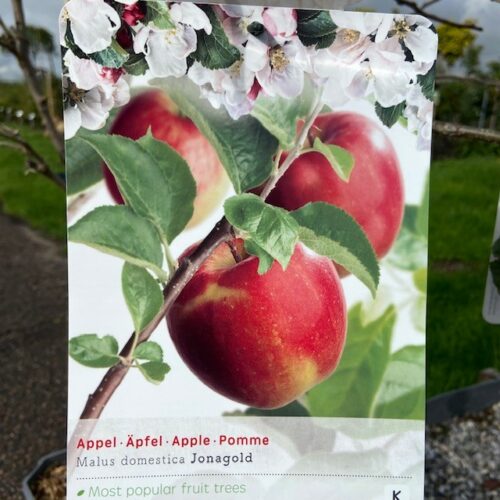 Appelboom Jonagold