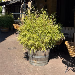 Half eikenhouten wijnvat 112 liter old look