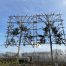 Quercus ilex F (Steeneik) met leischerm
