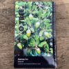 Quercus ilex F (Steeneik) met leischerm