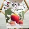 Appelboom laagstam 'Elstar' Leivorm