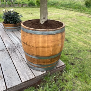 3/4 wijnvat 168 liter met olijfboom