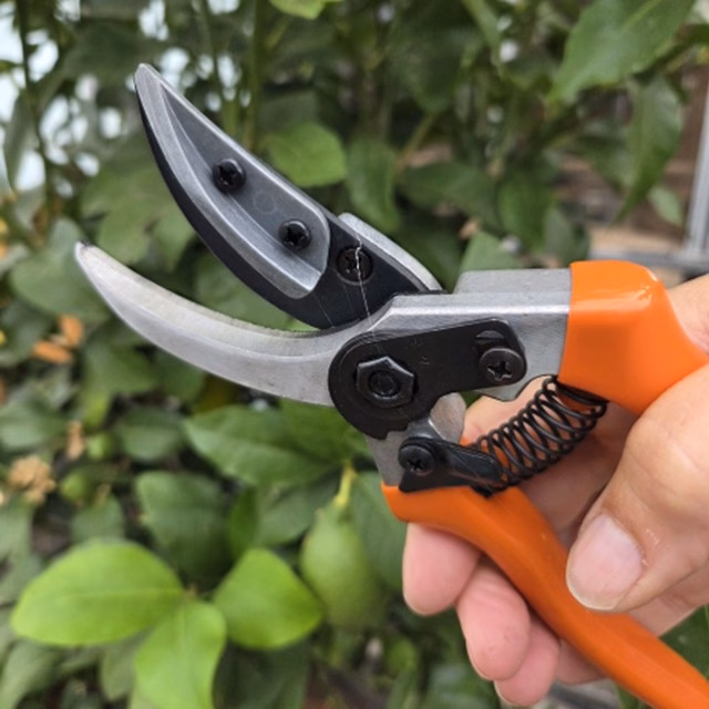 Rozen en bramen snoeischaar Metallo K-075