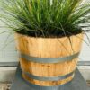 Half portvat 55 liter beplant met Pampasgras Tiny Pampa