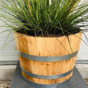 Half portvat 55 liter beplant met Pampasgras Tiny Pampa