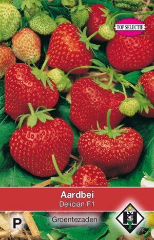 Aardbeien Delician F1