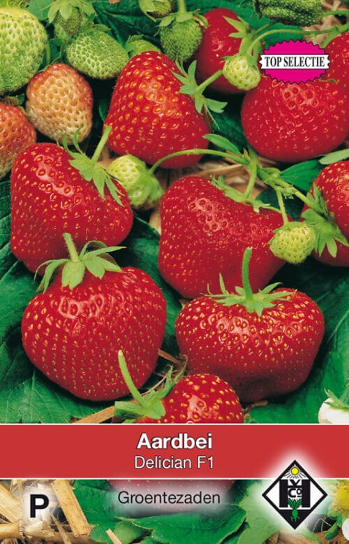 Aardbeien Delician F1