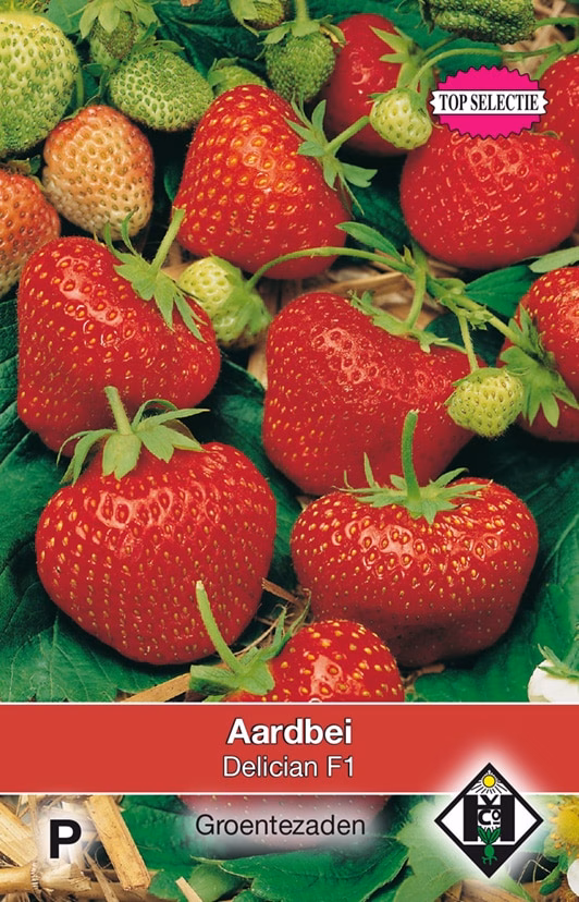 Aardbeien Delician F1