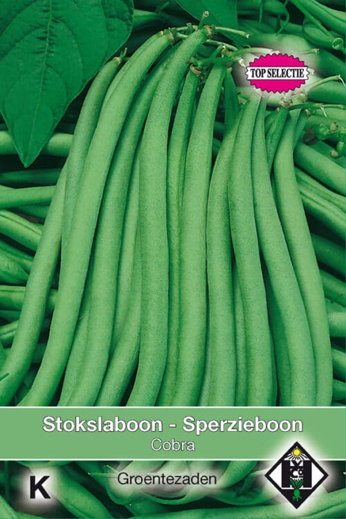 Stokslaboon Cobra