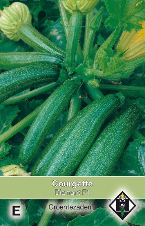 Courgette Diamant F1