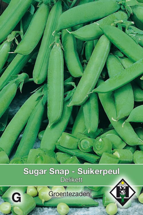 Sugar Snap Delikett
