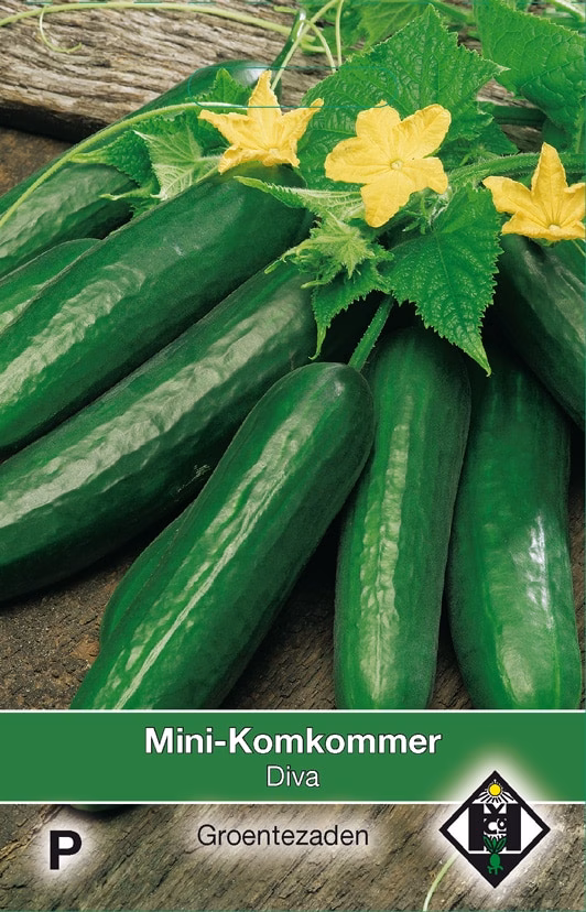 Mini Komkommer Diva