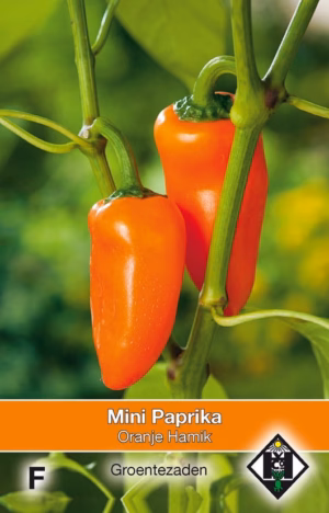Mini Paprika Oranje Hamik