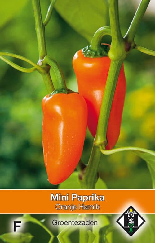 Mini Paprika Oranje Hamik