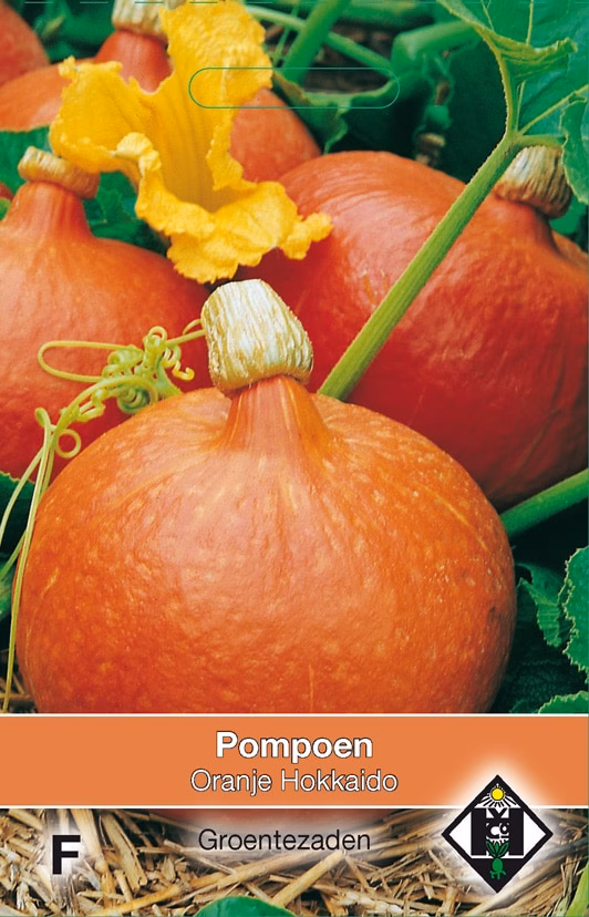Pompoen Oranje Hokkaido
