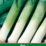 Prei Blauw Groene Winter Porilux
