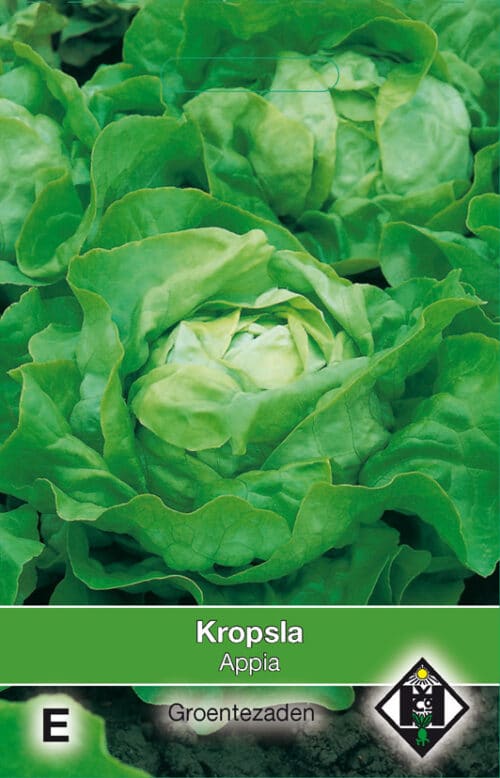 Kropsla Appia