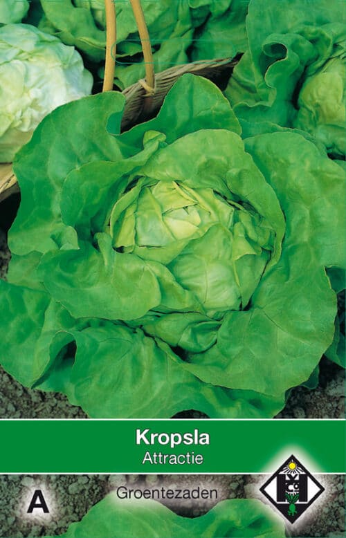 Kropsla Attractie