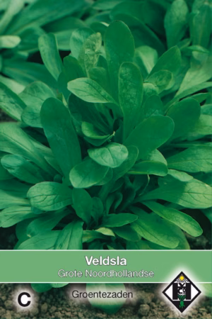 Veldsla Grote Noordhollandse