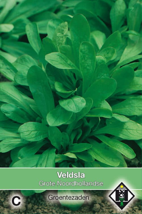 Veldsla Grote Noordhollandse