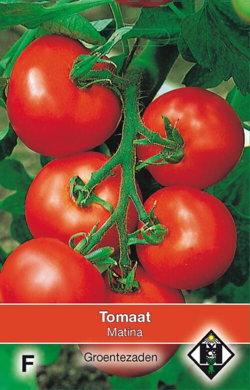Tomaat Matina