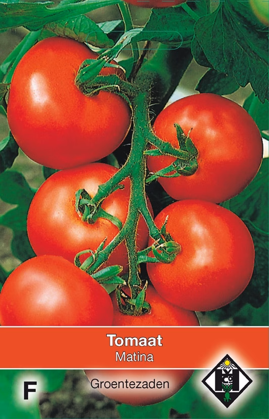 Tomaat Matina