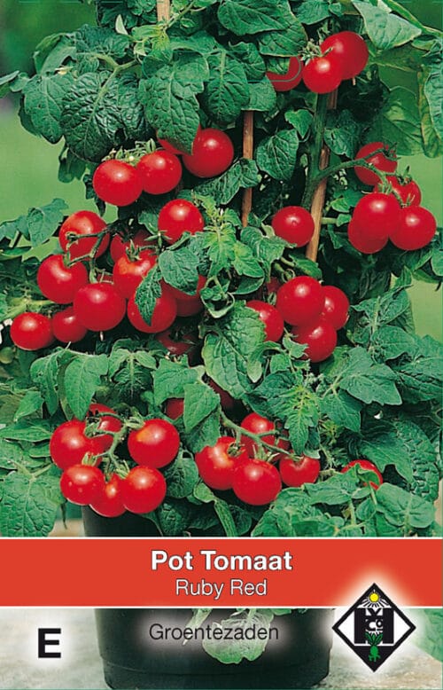 Pot Tomaat Ruby Red