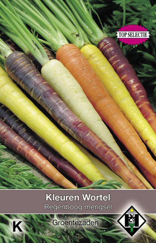 Kleuren Wortels Regenboog