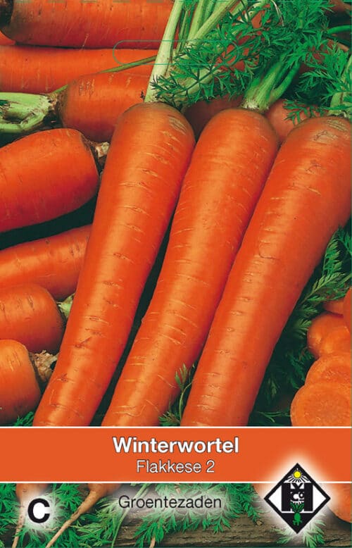 Winterwortelen Flakkese 2