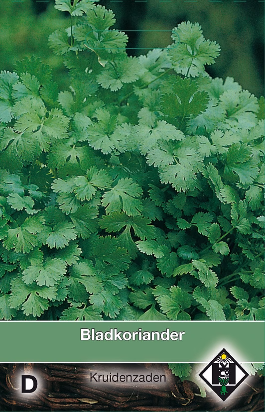 Bladkoriander
