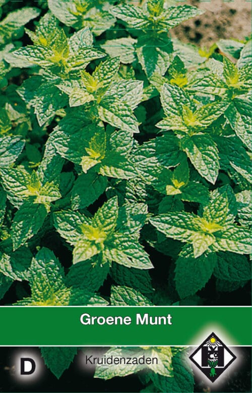 Groene Munt