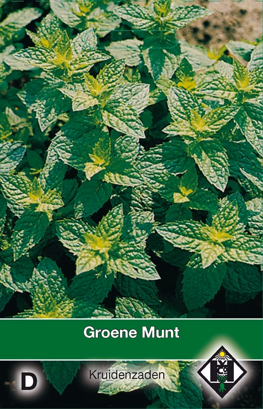 Groene Munt