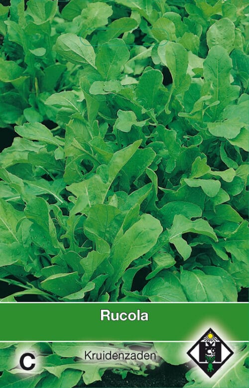 Rucola