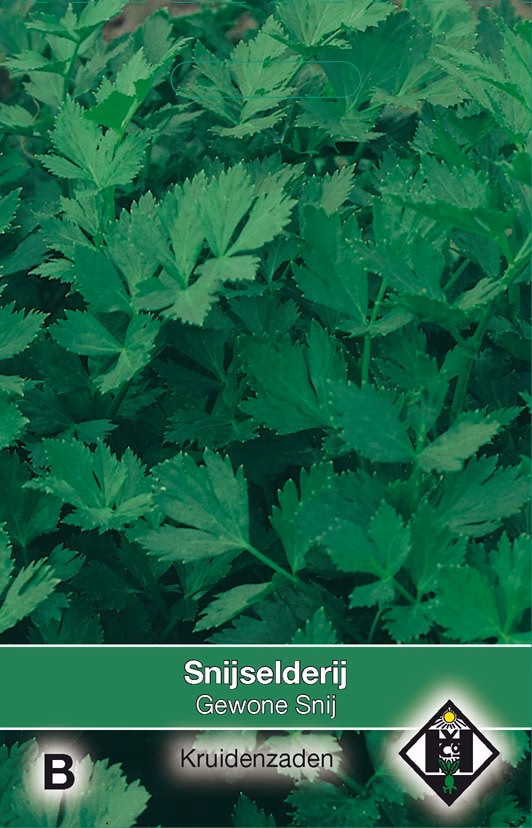 Selderij