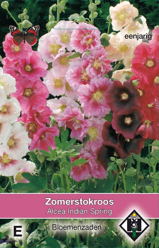 Alcea Indian Spring