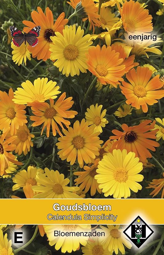 Calendula Simplicity Goudsbloem