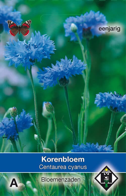 Centaurea enkele blauw Korenbloem