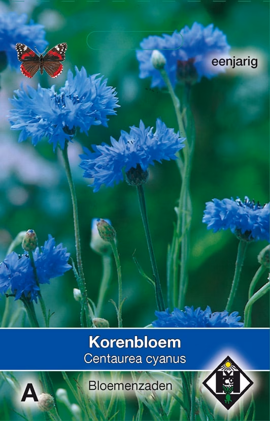 Centaurea enkele blauw Korenbloem