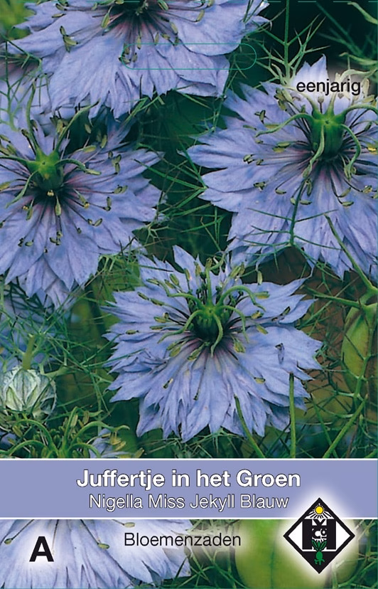 Nigella Miss Jekyll Blauw