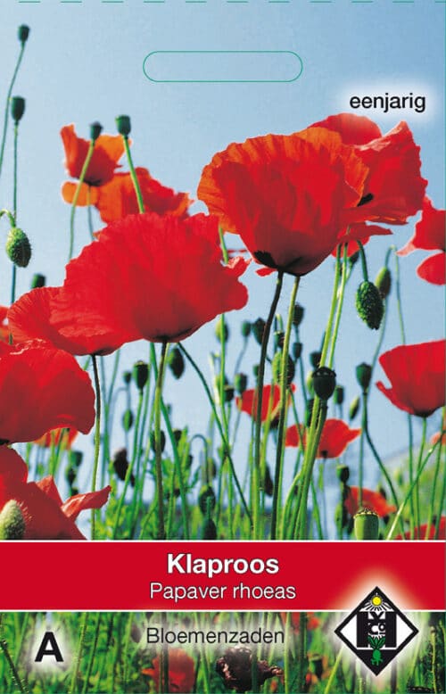 Papaver rhoeas Grote Klaproos